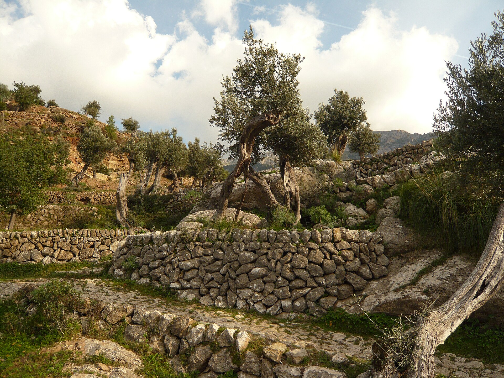 Serra de Tramuntana Slow Escape — Deià