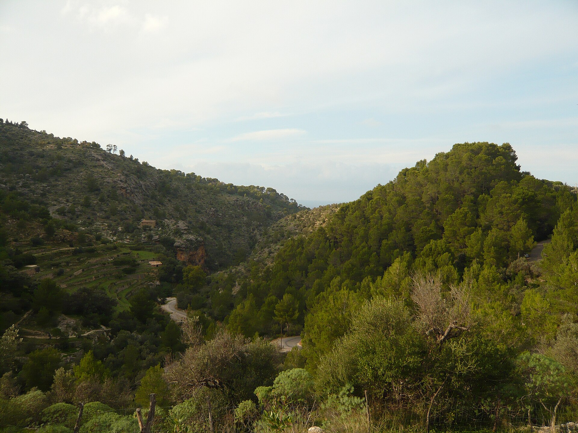 Serra de Tramuntana Slow Escape — photo 3