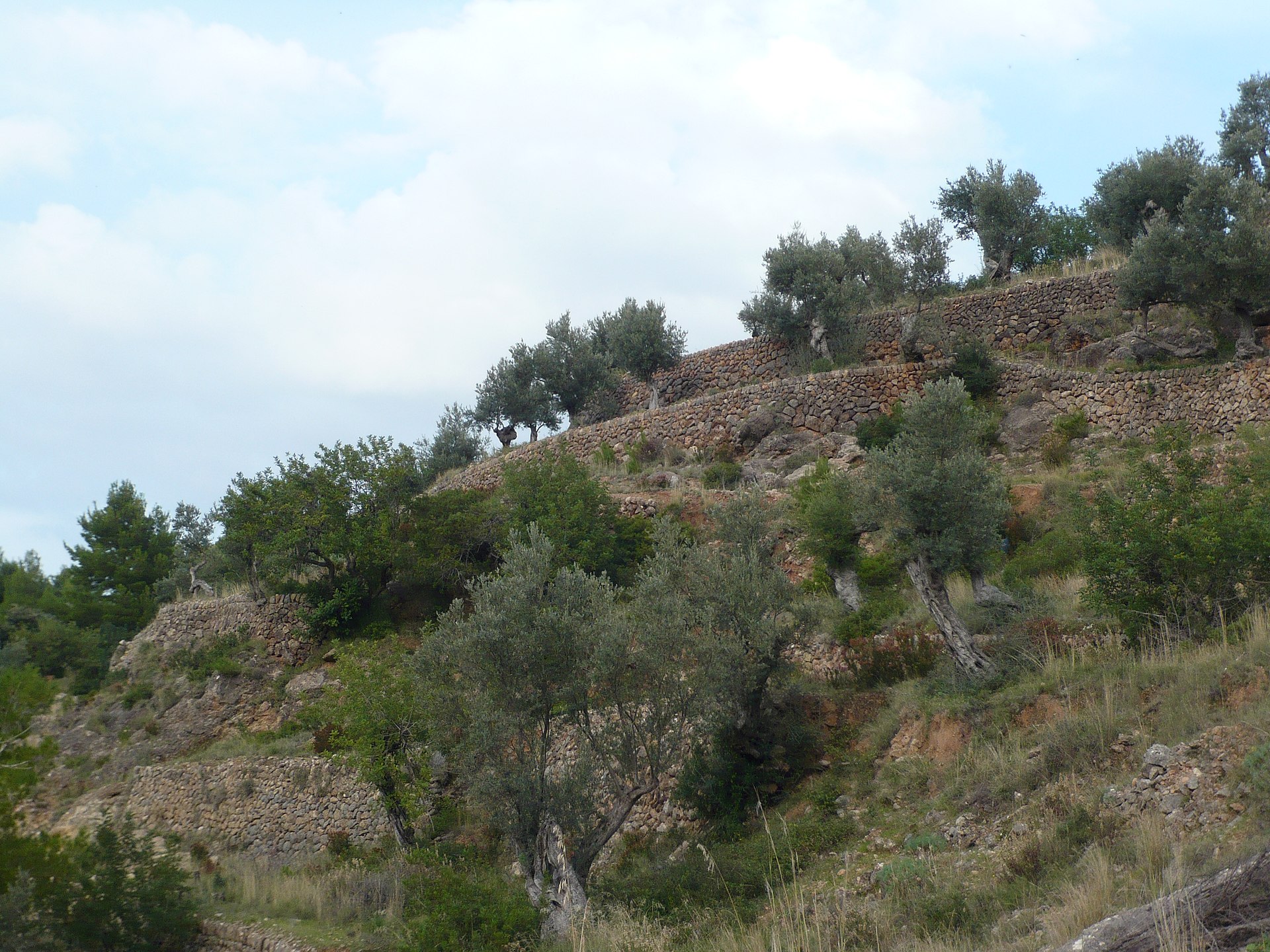Serra de Tramuntana Slow Escape — photo 5
