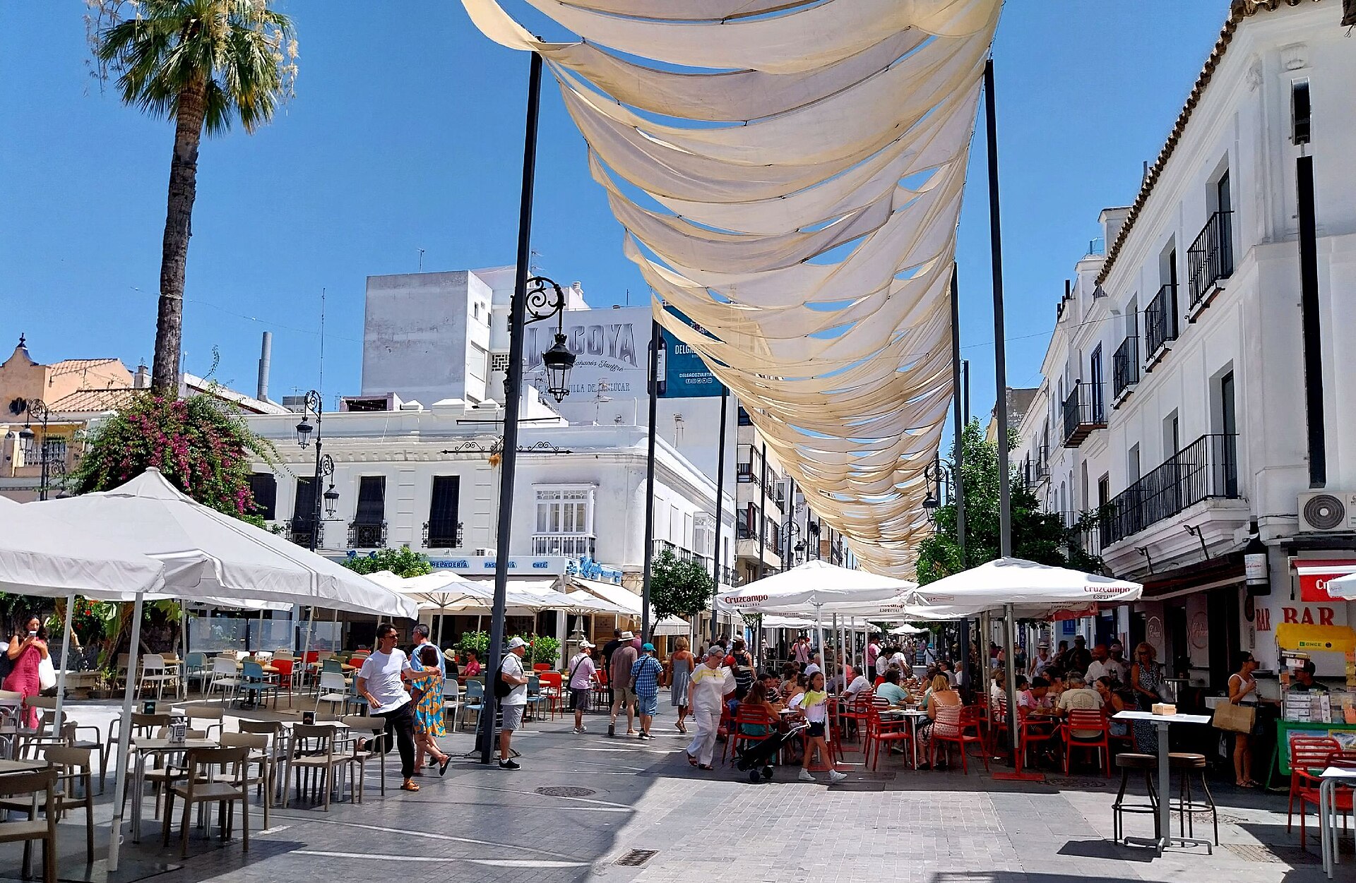 Sanlúcar — Manzanilla & Langostinos — photo 4