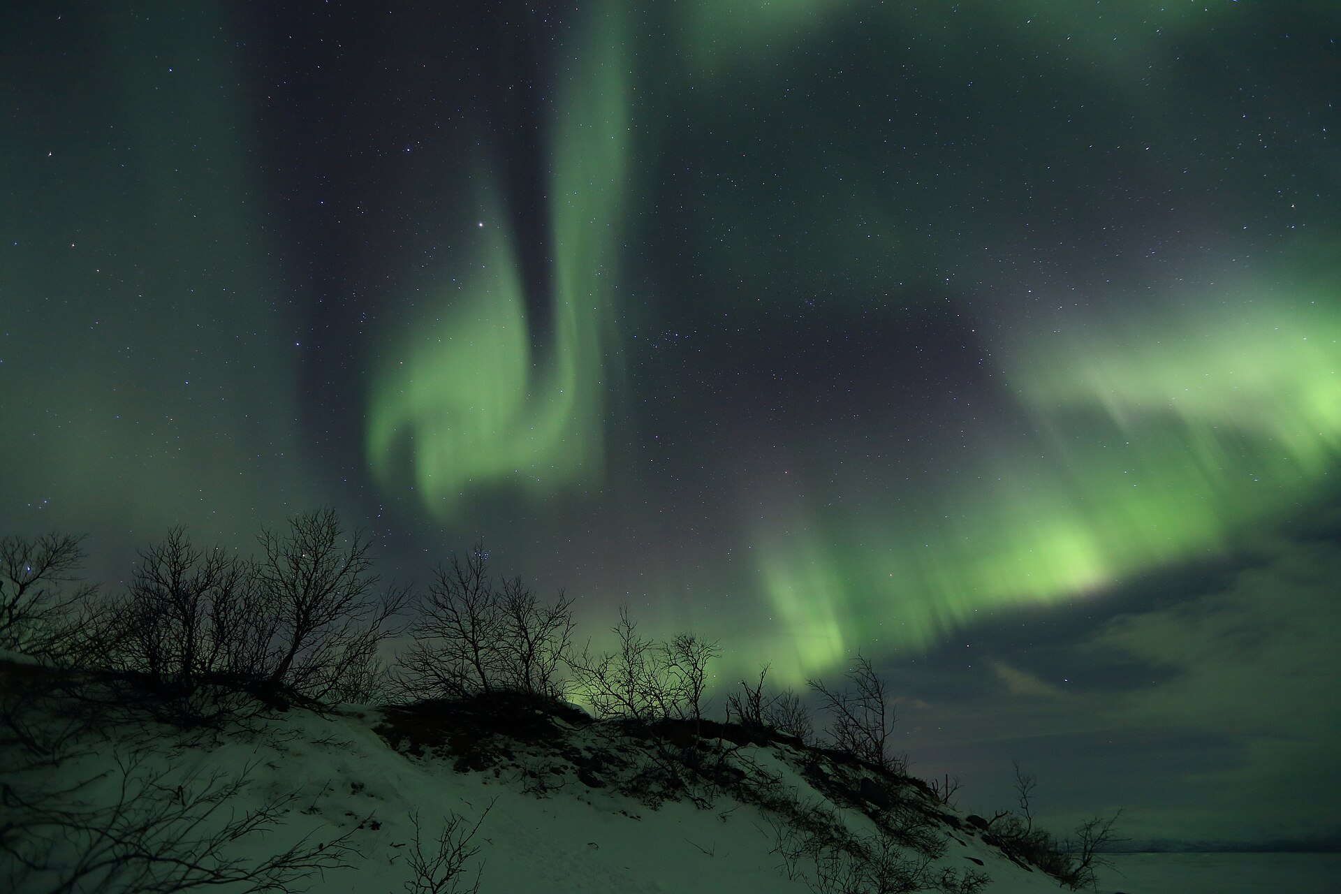 Abisko Aurora & Arctic Skies — Abisko National Park