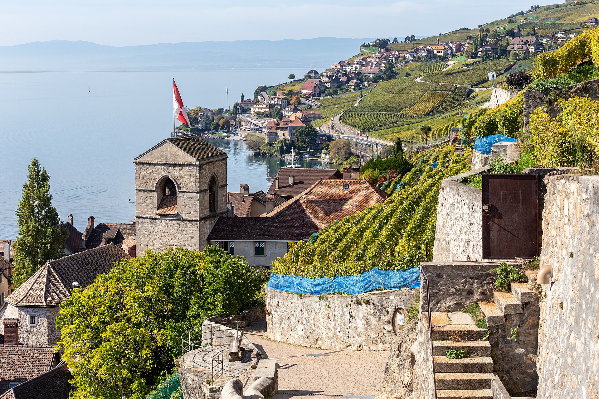 Lavaux Vineyards & Lake Geneva — photo 3