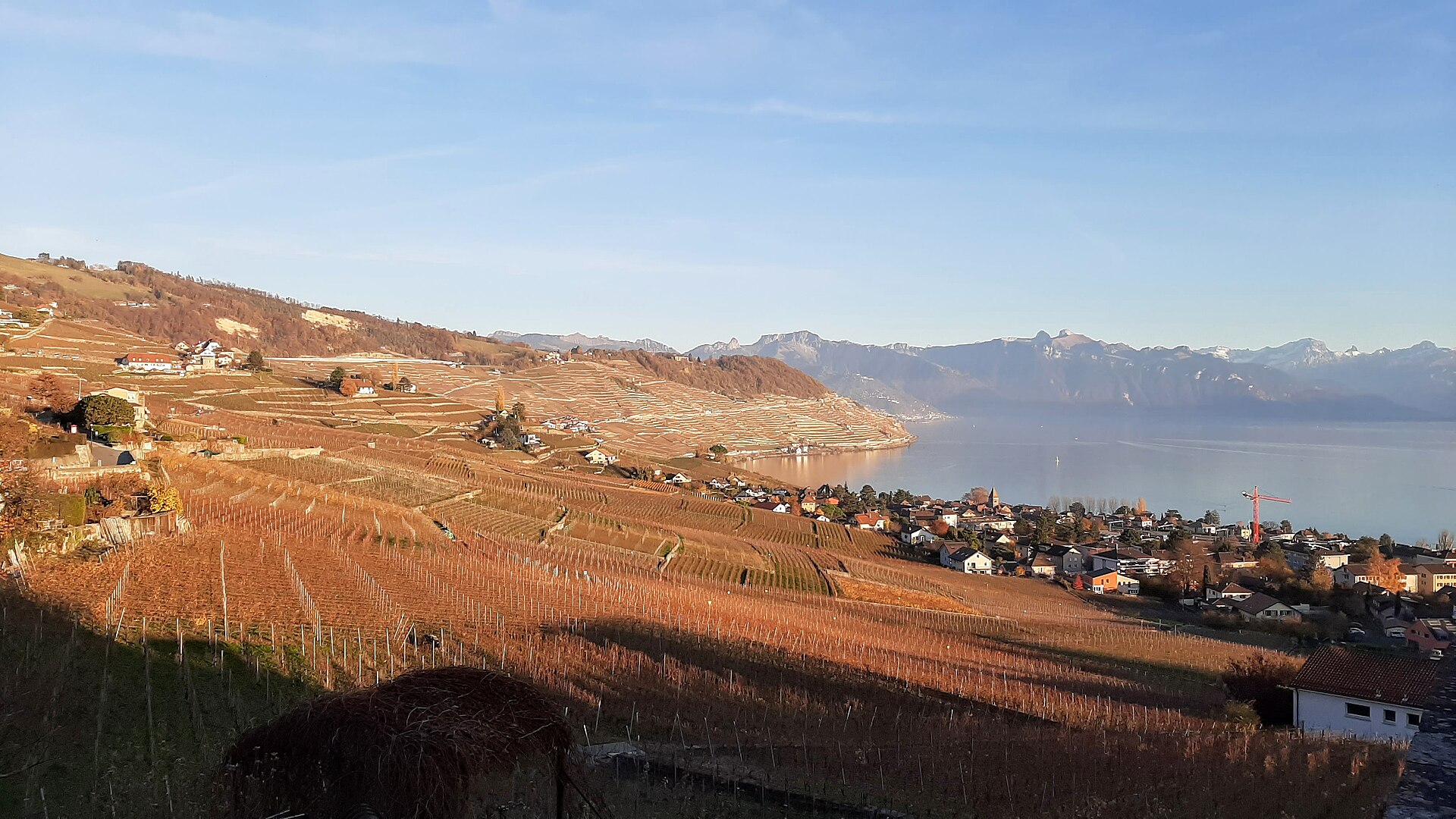 Lavaux Vineyards & Lake Geneva — photo 4