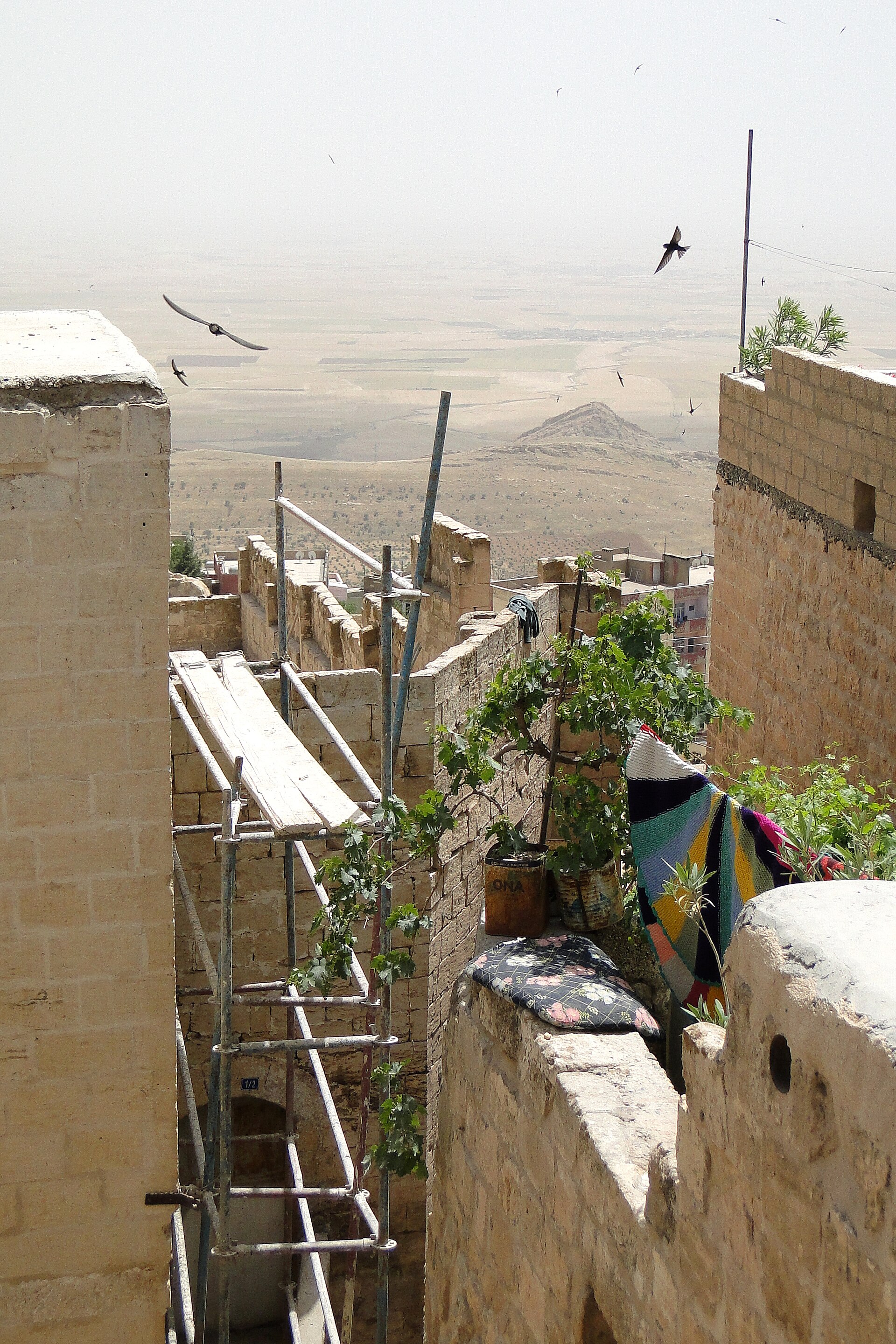 Mardin's Stone Terraces Above Mesopotamia — photo 2