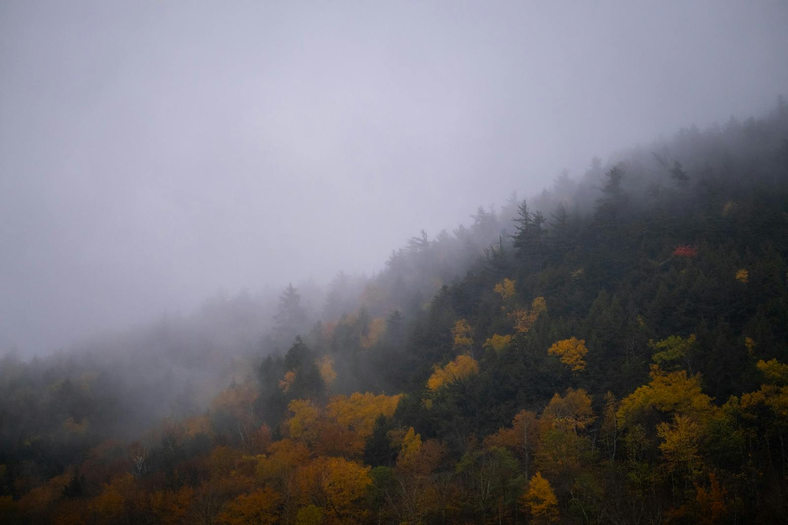 New England Fall Foliage — Vermont to White Mountains — photo 4
