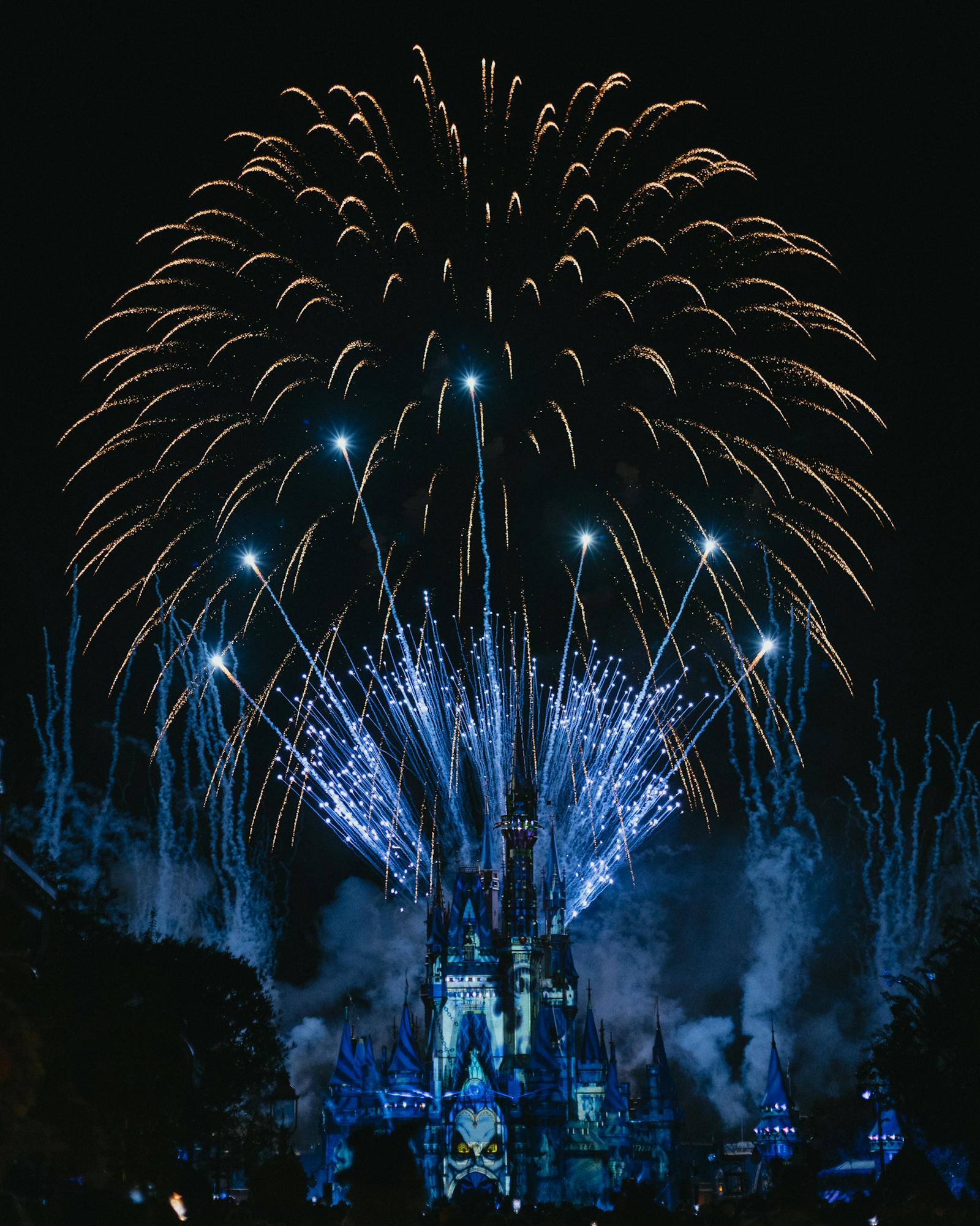 Walt Disney World — Four Parks in Three Days, Orlando — photo 2